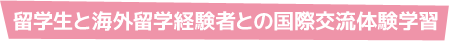 留学生と海外留学経験者との国際交流体験学習