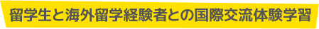 留学生と海外留学経験者との国際交流体験学習