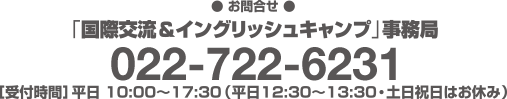 【お申込・お問合せ】「国際交流＆イングリッシュキャンプ」事務局 フリーダイヤル0120-412-300（平日10:00〜17:30　土日・祝日休み）