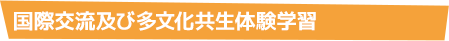 国際交流及び多文化共生体験学習