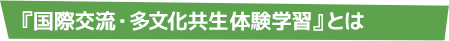 『国際交流・多文化共生体験学習』とは